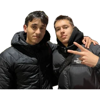 Стикер Temschiki - 4