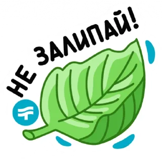 Стикер Termoland - 0