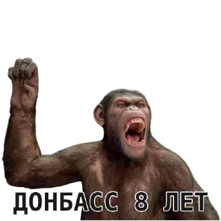 Sticker Искусство терпеть @weareustali - 0