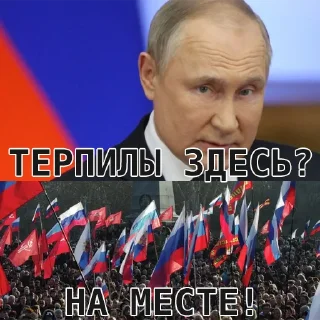 Sticker Искусство терпеть @weareustali - 8