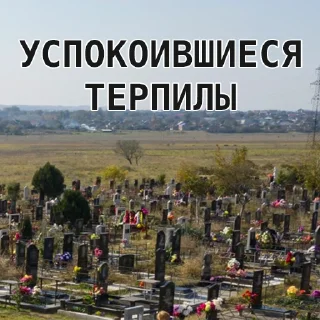 Sticker Искусство терпеть @weareustali - 9