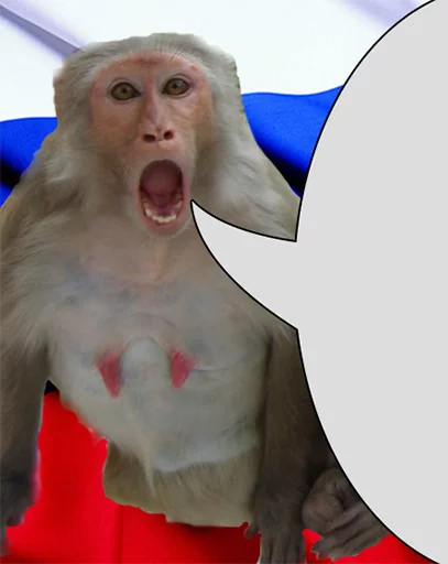 Стикер test228idinaxui - 1