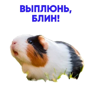 Sticker ALENA BLIN & AGENT GIRL @neopra_blin - 11