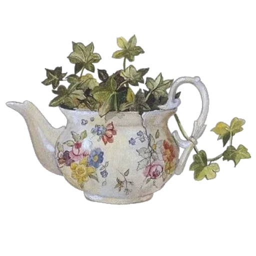 teapot serveware ceramic