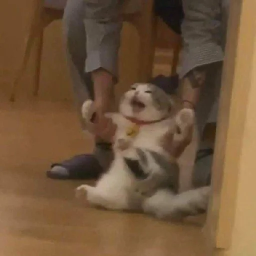 Sticker @teverto - 11