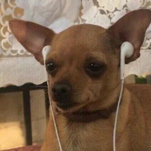 Sticker @teverto - 10