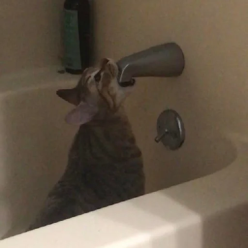 Sticker @teverto - 3