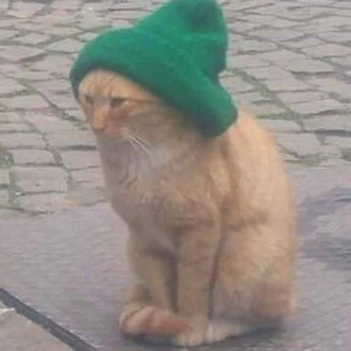 Sticker @teverto - 0