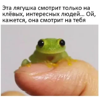 Sticker лягухи (@emopix) - 5