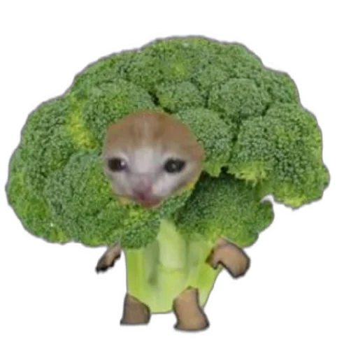 Стикер tf52f0f24_6b75_4dce_a672_f4a5b936c66e_by_emopix_stickerz_bot - 1