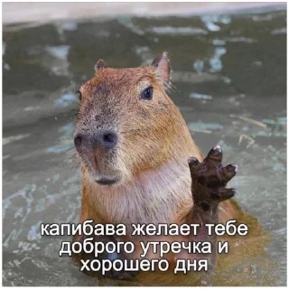 Sticker трэш (@emopix) - 6