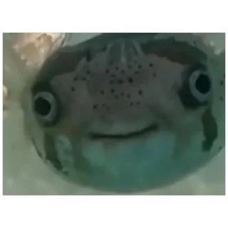 Sticker трэш (@emopix) - 2