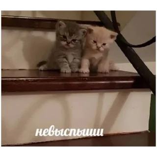 Sticker трэш (@emopix) - 9