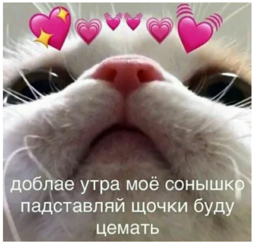 Sticker tg_Tim_stikers - 1