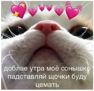 Стикер By @tg_Tim_stikers - 9