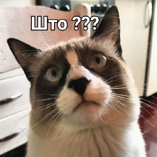 Стикер By @tg_Tim_stikers - 3