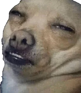 Sticker @stickermania_chat - 2