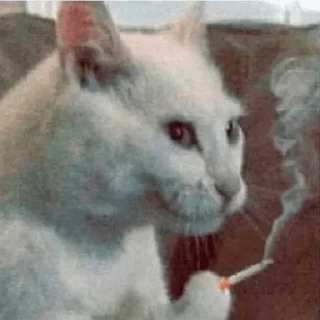 Sticker @stickermania_chat - 6