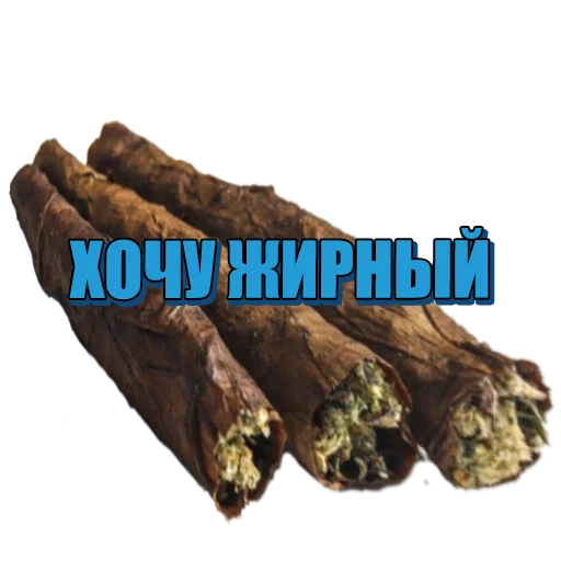 Sticker tghydraru - 1