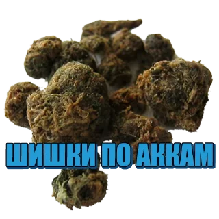 Стикер hydra - 7