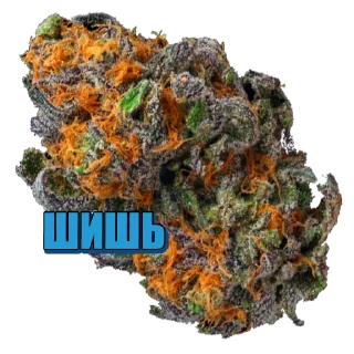 Стикер hydra - 8