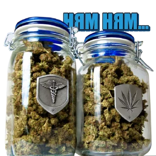 Стикер hydra - 1