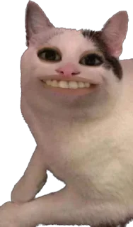 Sticker petz💞 - 1