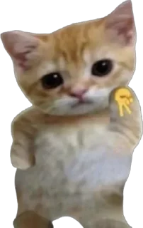 Sticker petz💞 - 4