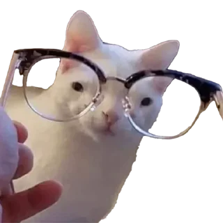 Sticker petz💞 - 2