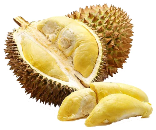 Sticker thailand - 5