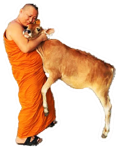 Sticker thailand - 4