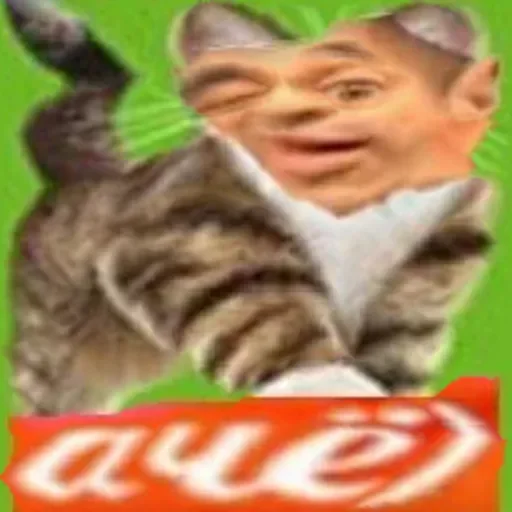 СМС плакат кошки малого и среднего размера