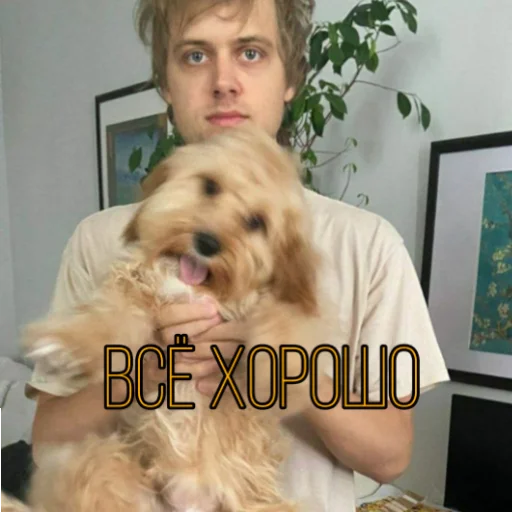 dog person dog breed