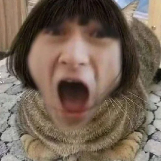 thebrainmaps @kot4epysh1la - 