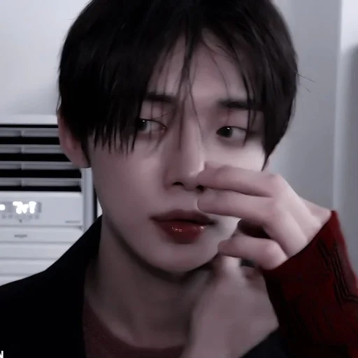 Человек человеческое лицо комнатный