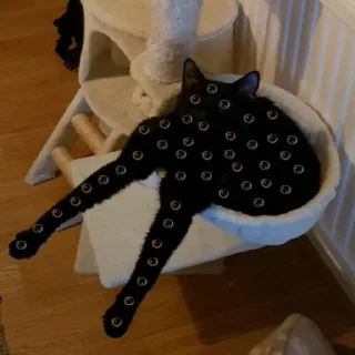 Стикер 1000 и 1 це кiт - 3