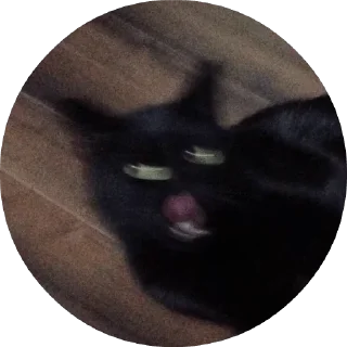 Стикер 1000 и 1 це кiт - 6