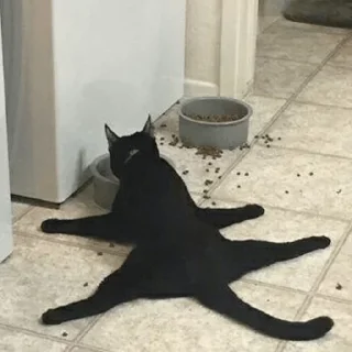 Стикер 1000 и 1 це кiт - 9