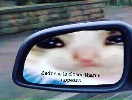 car mirror animal mirror