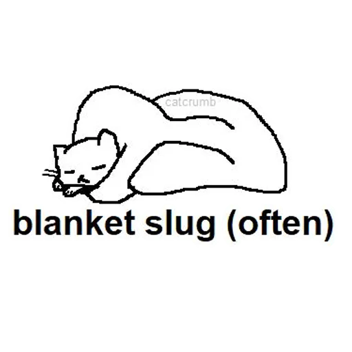 Sticker thefunis - 1