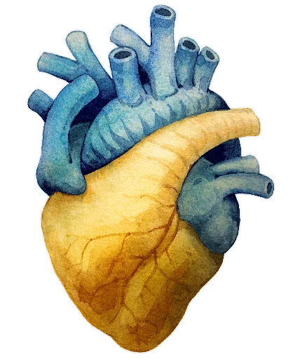 Sticker The Heart - 0