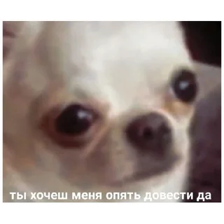 Sticker Наименование - 3