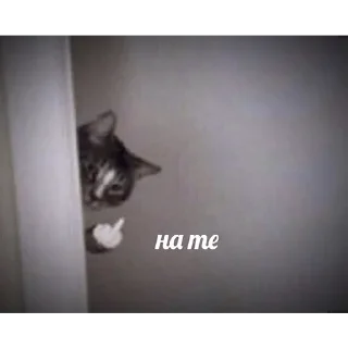 Sticker Наименование - 0