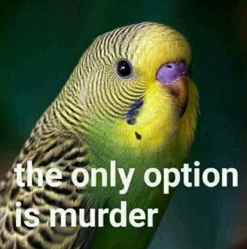 theonlyoptionismurder - bird
