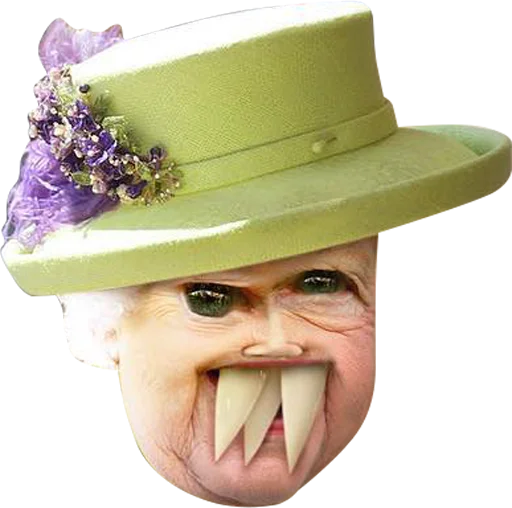 clothing headdress hat