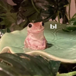 Sticker Сборная солянка 5 - 3