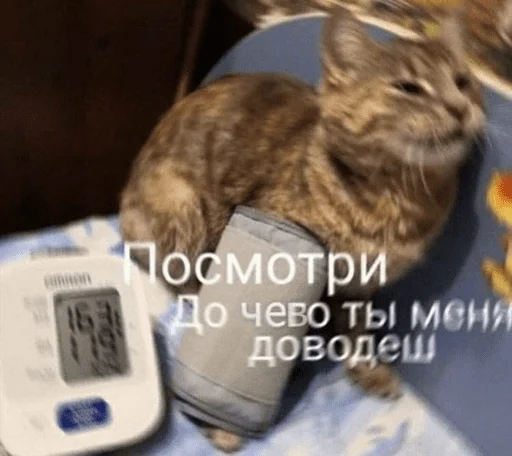 Стикер Это почти конец - 11