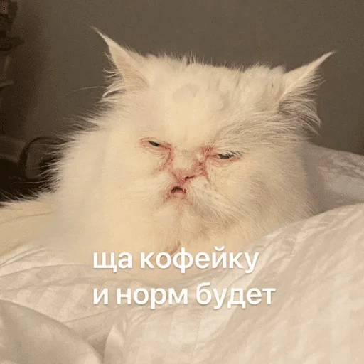 Стикер Это почти конец - 10