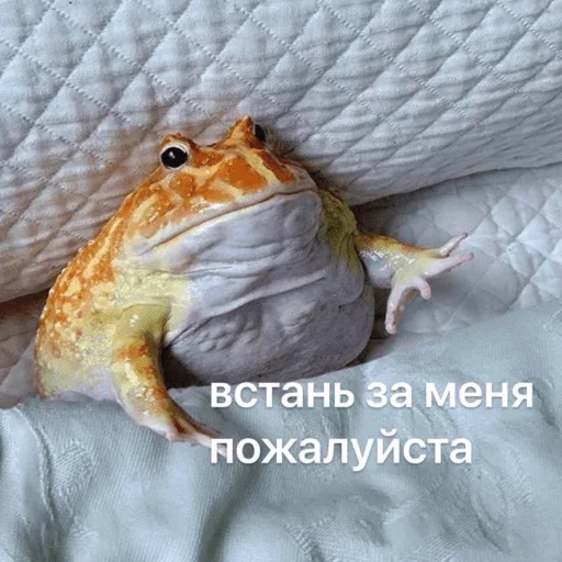 Стикер Это почти конец - 7