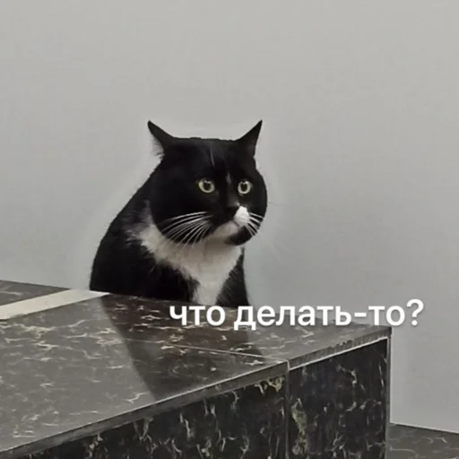 Стикер Это почти конец - 6